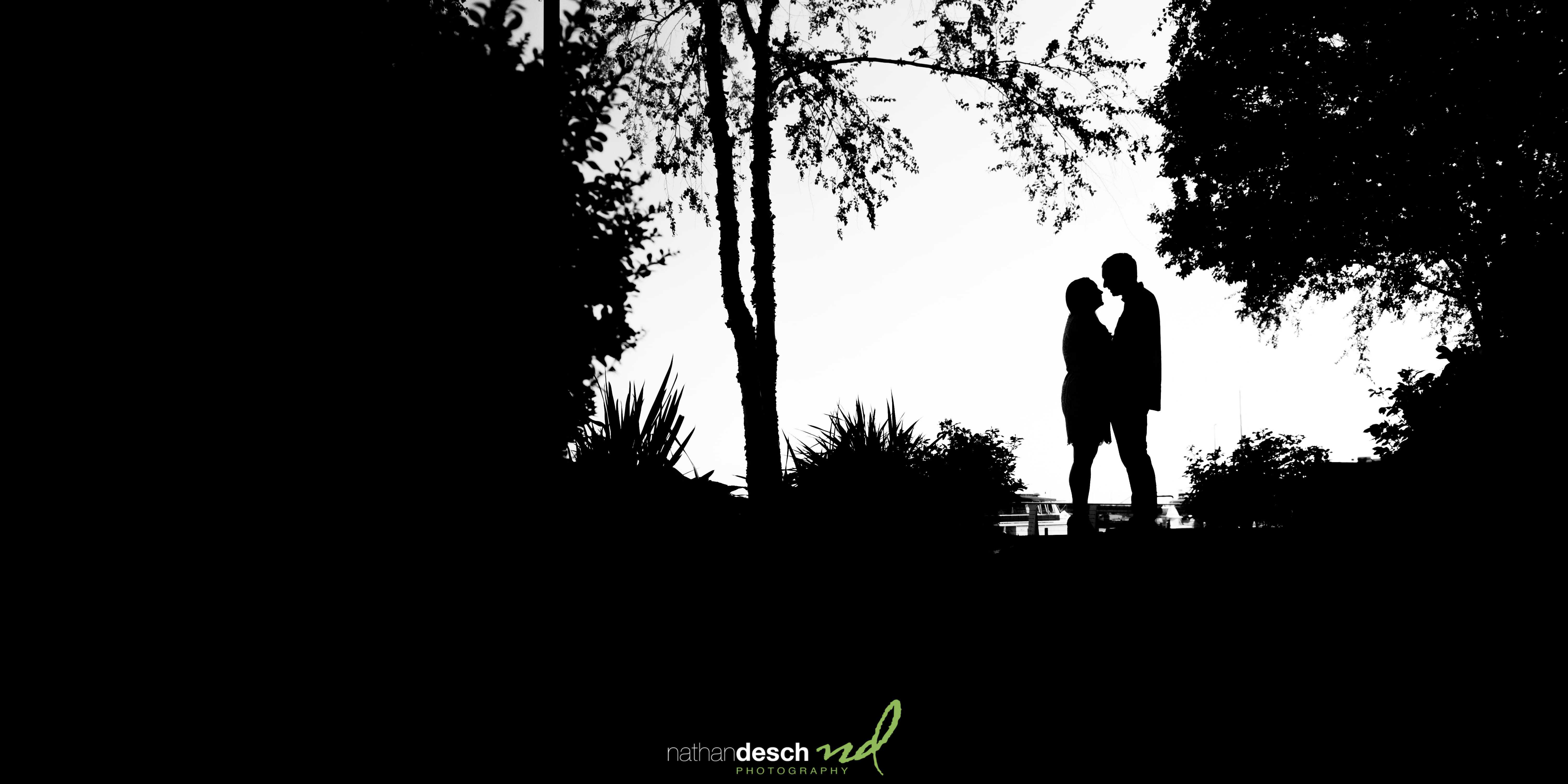 DC engagement Pictures