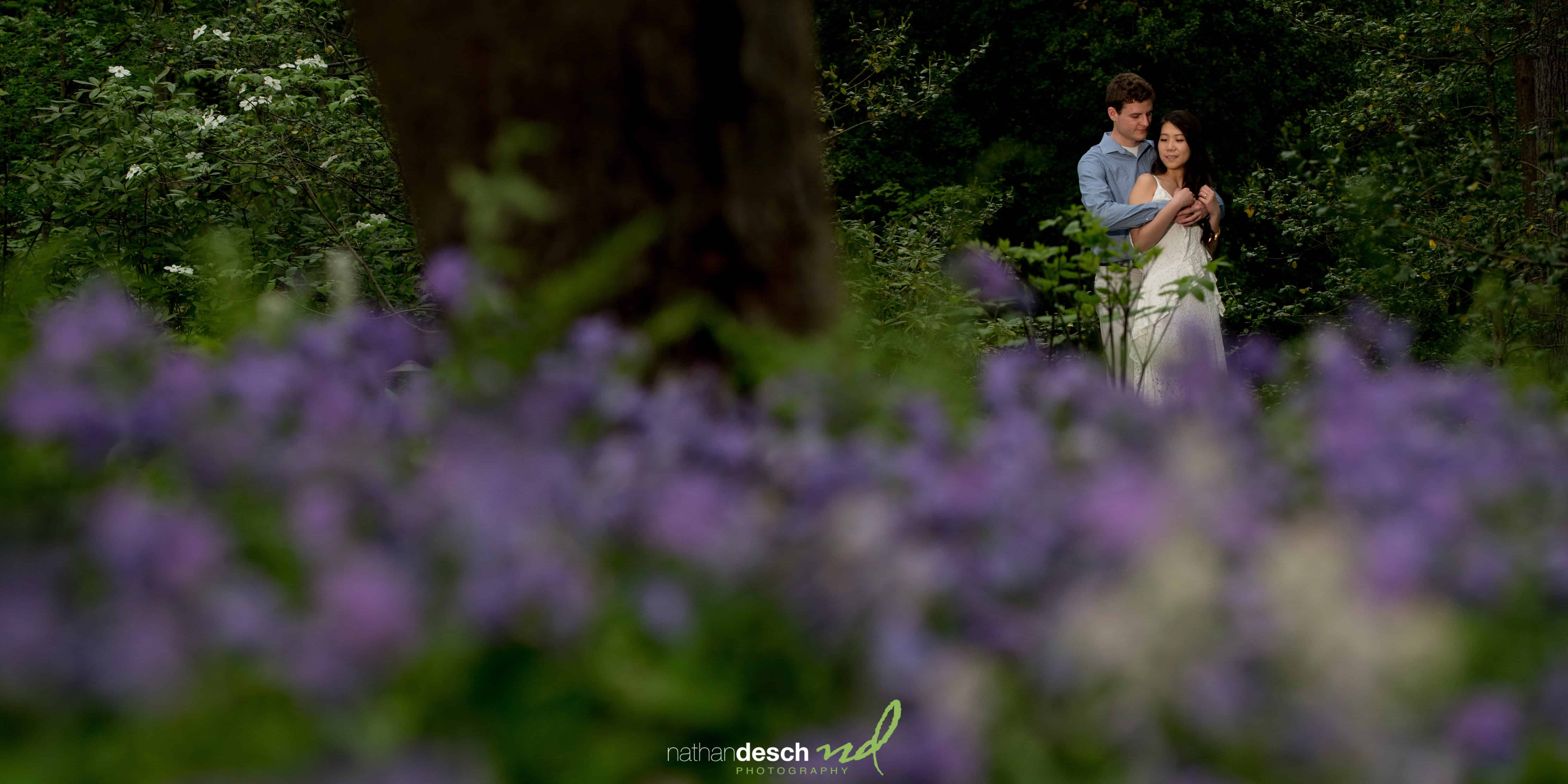 Engagement Pictures at Longwood Gardens