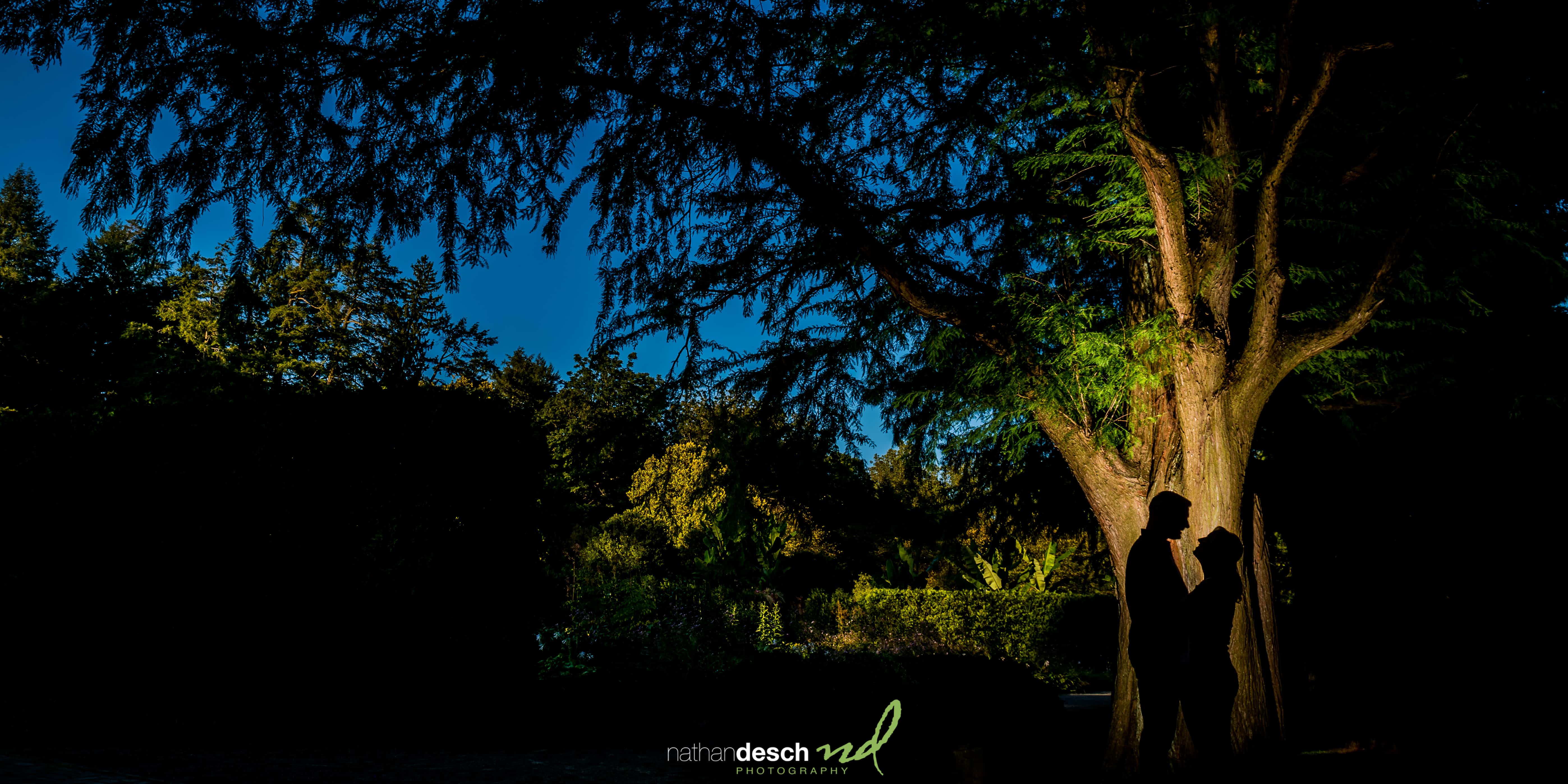 Longwood Gardens Engagement