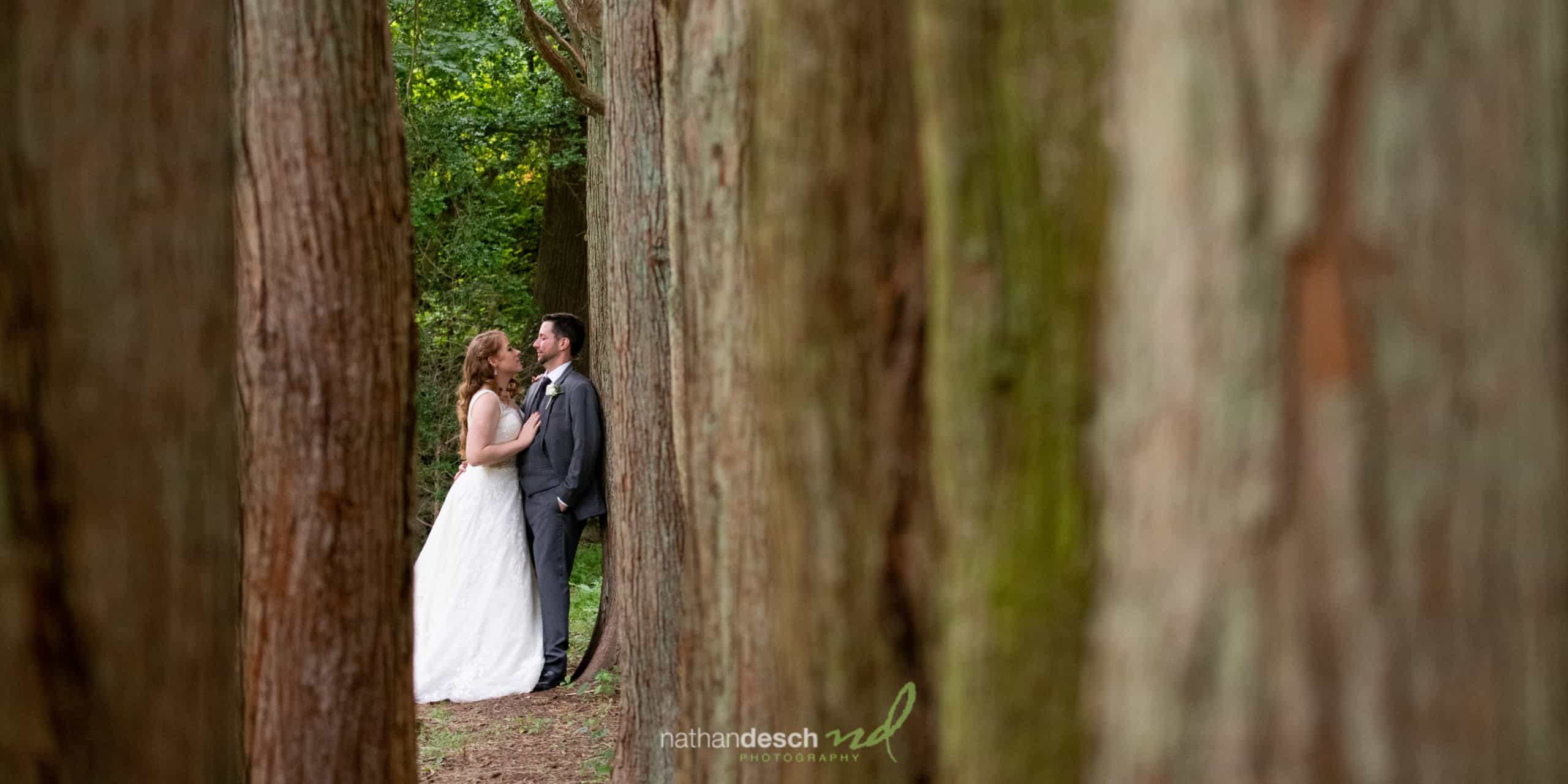 Covid Wedding Pictures