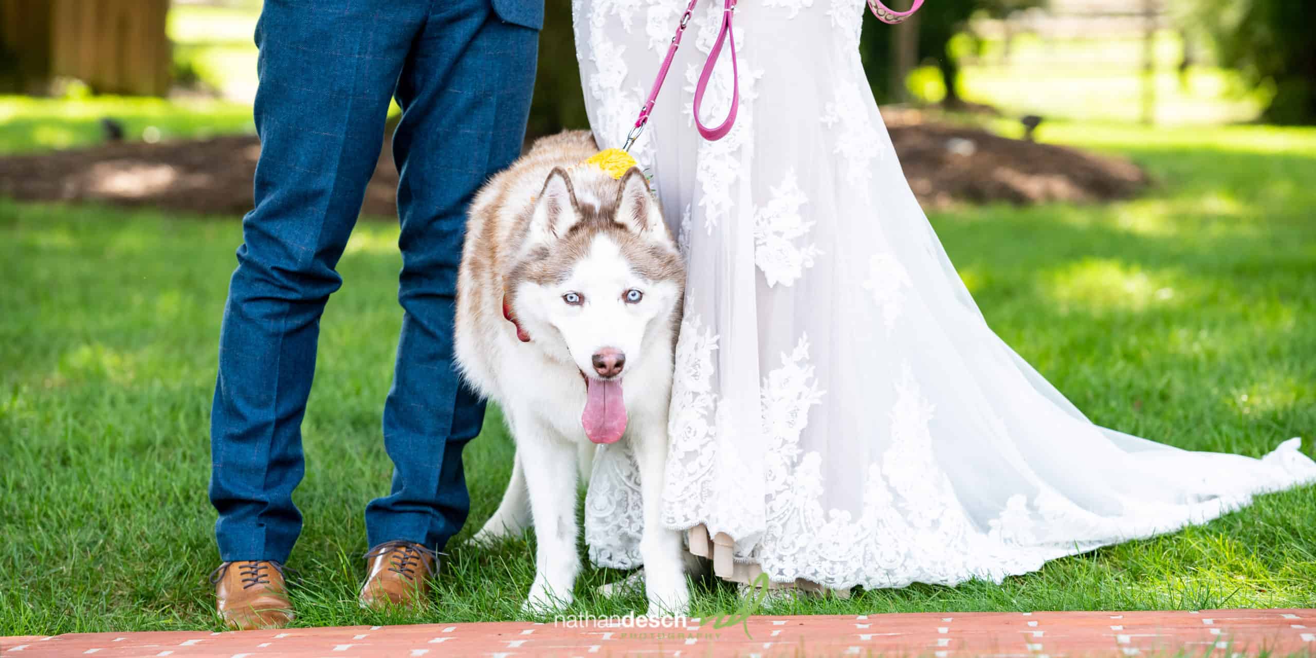 Ironstone Ranch Wedding pictures