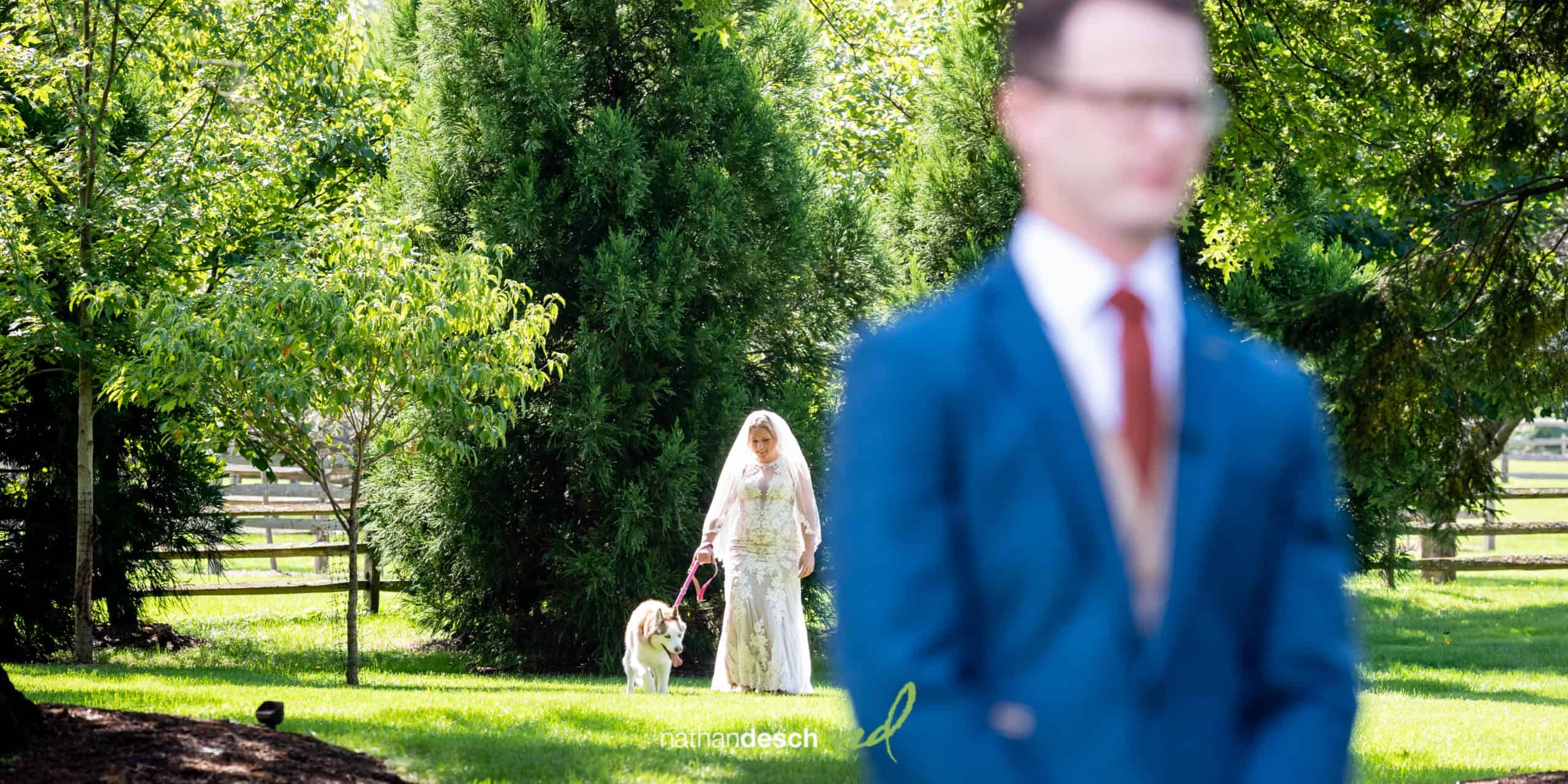 Wedding Pictures We Love in 2020