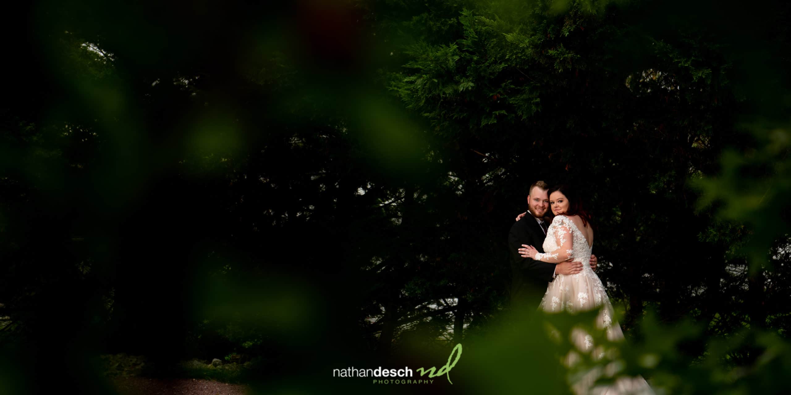Best Wedding images of 2020