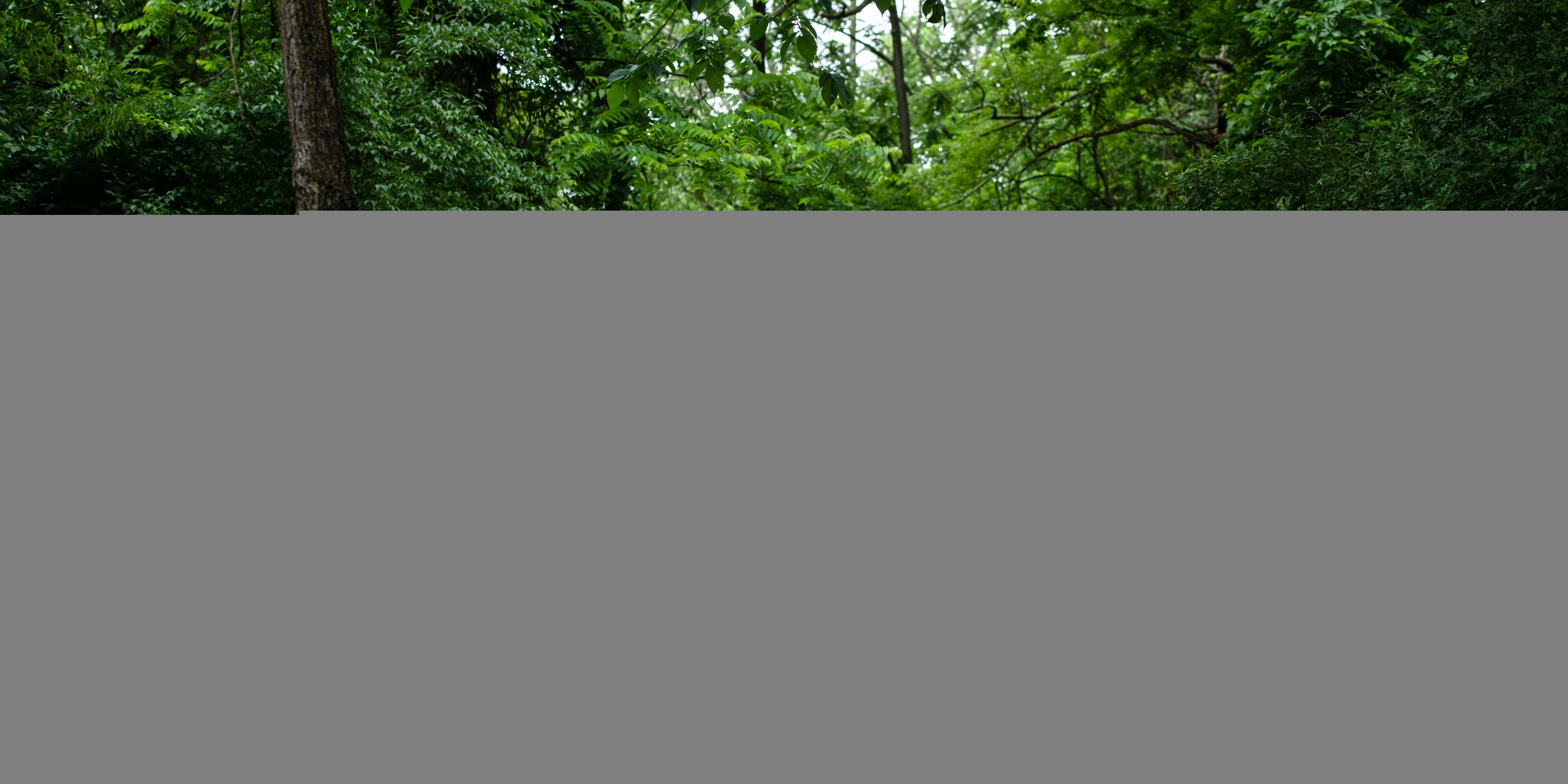 Boyertown Wedding Pictures