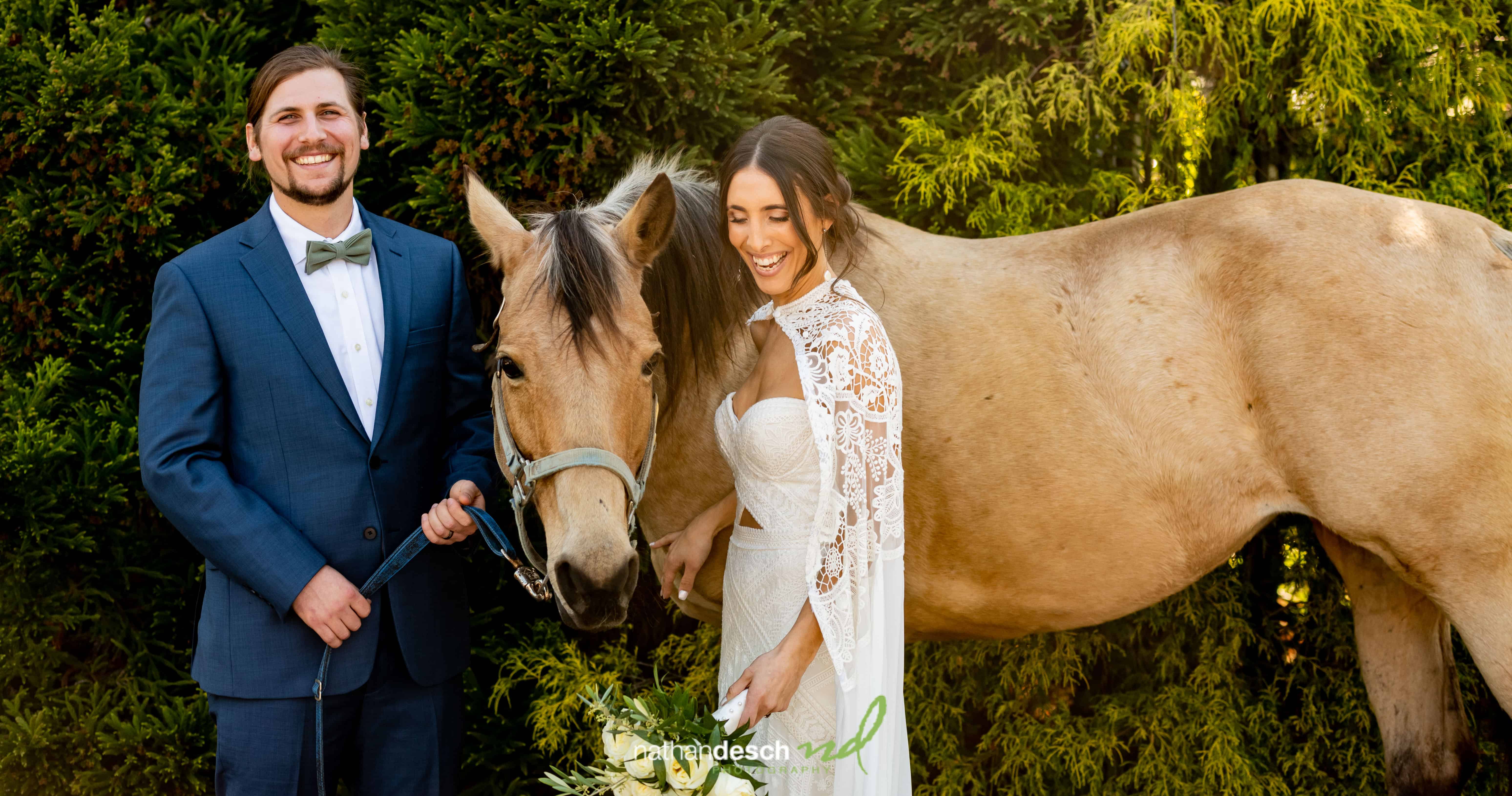 Wedding Picture Ideas