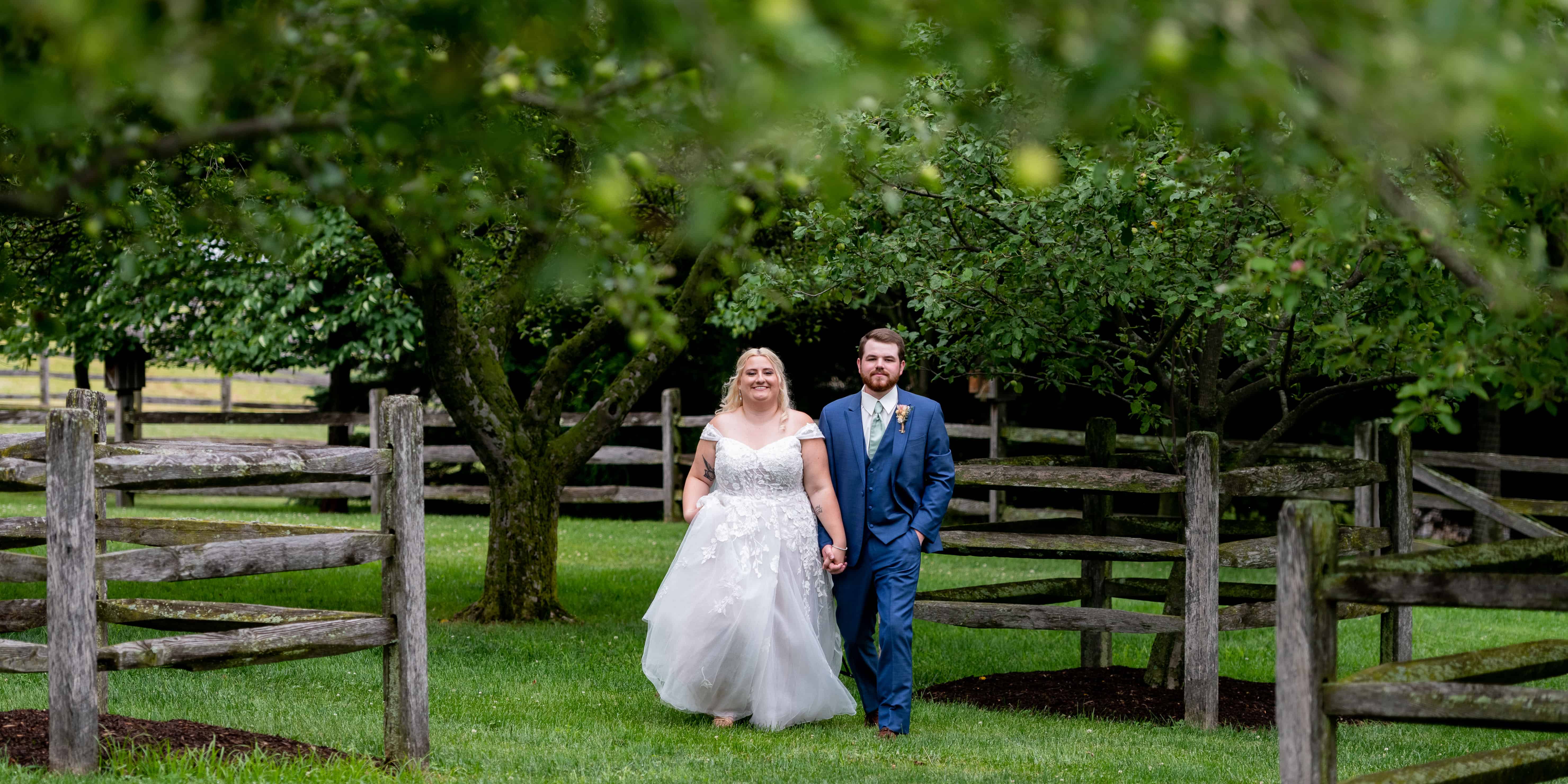 pictures in an orchard