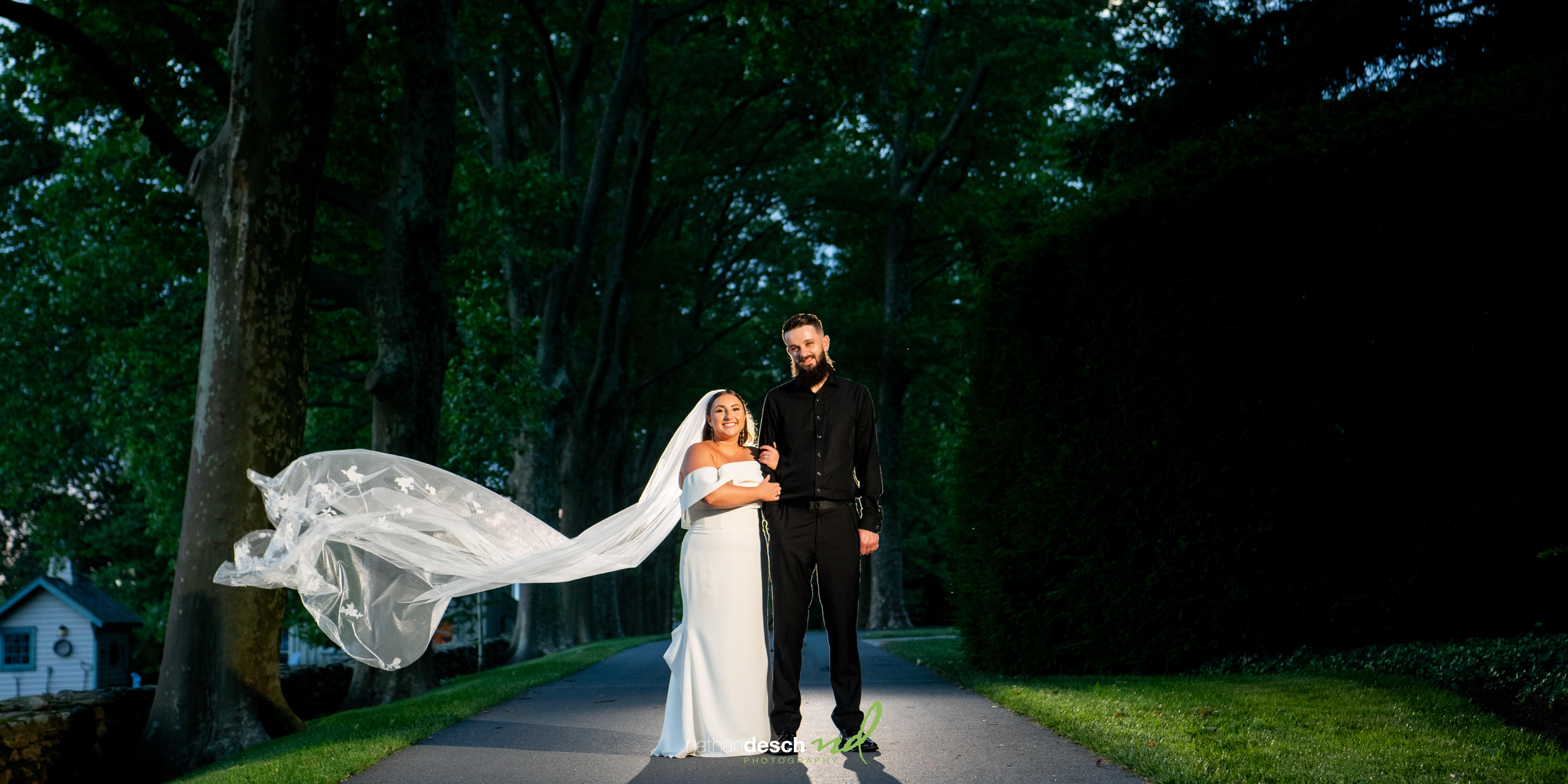 night portraits at drumore estate
