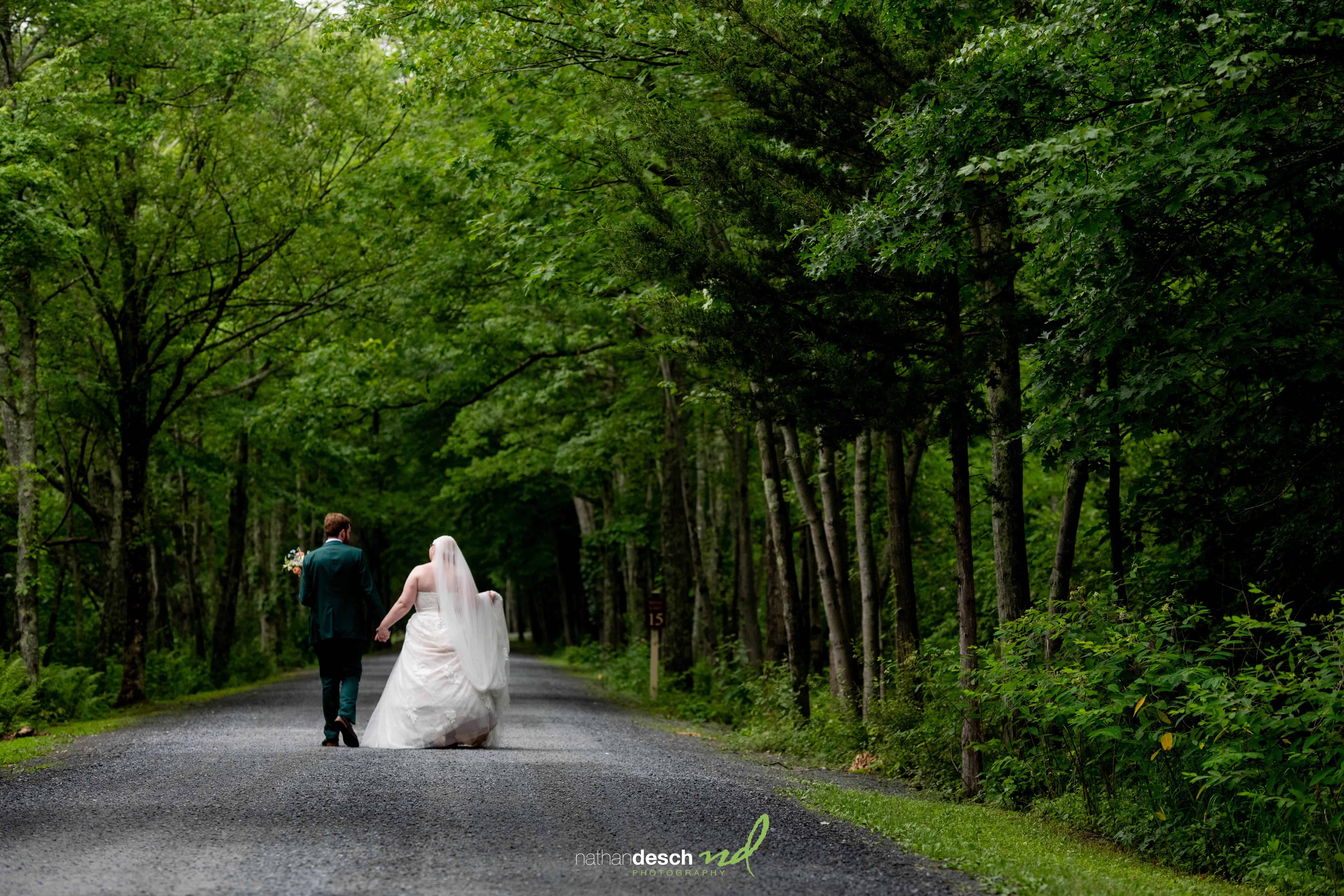 Bride and groom walking hand in hand down a tree-lined road, lush greenery, wedding dress and suit, viewed from behind.
