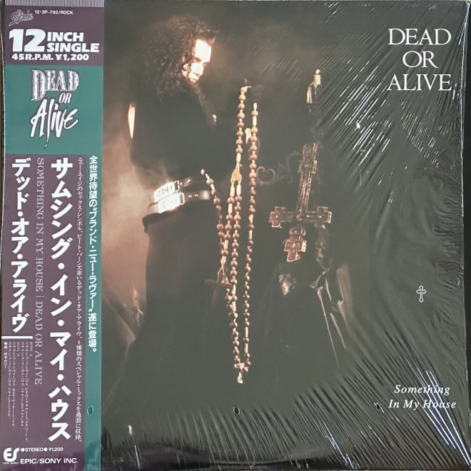 Dead Or Alive - Something In My House