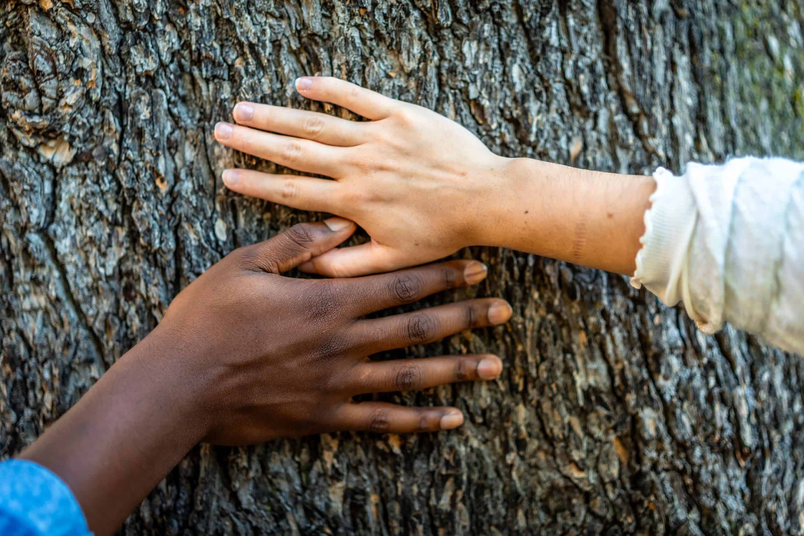 The Gift of Forgiveness: Letting Go of Regrets This Holiday Season
