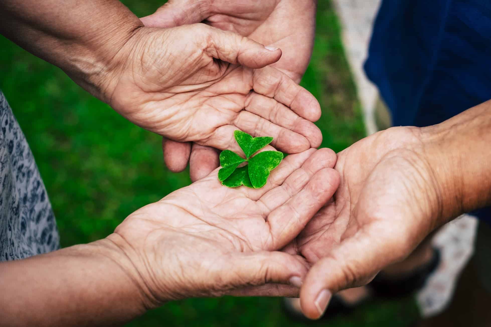 The Basis of Empathy: Understanding the Foundations of Human Connection  