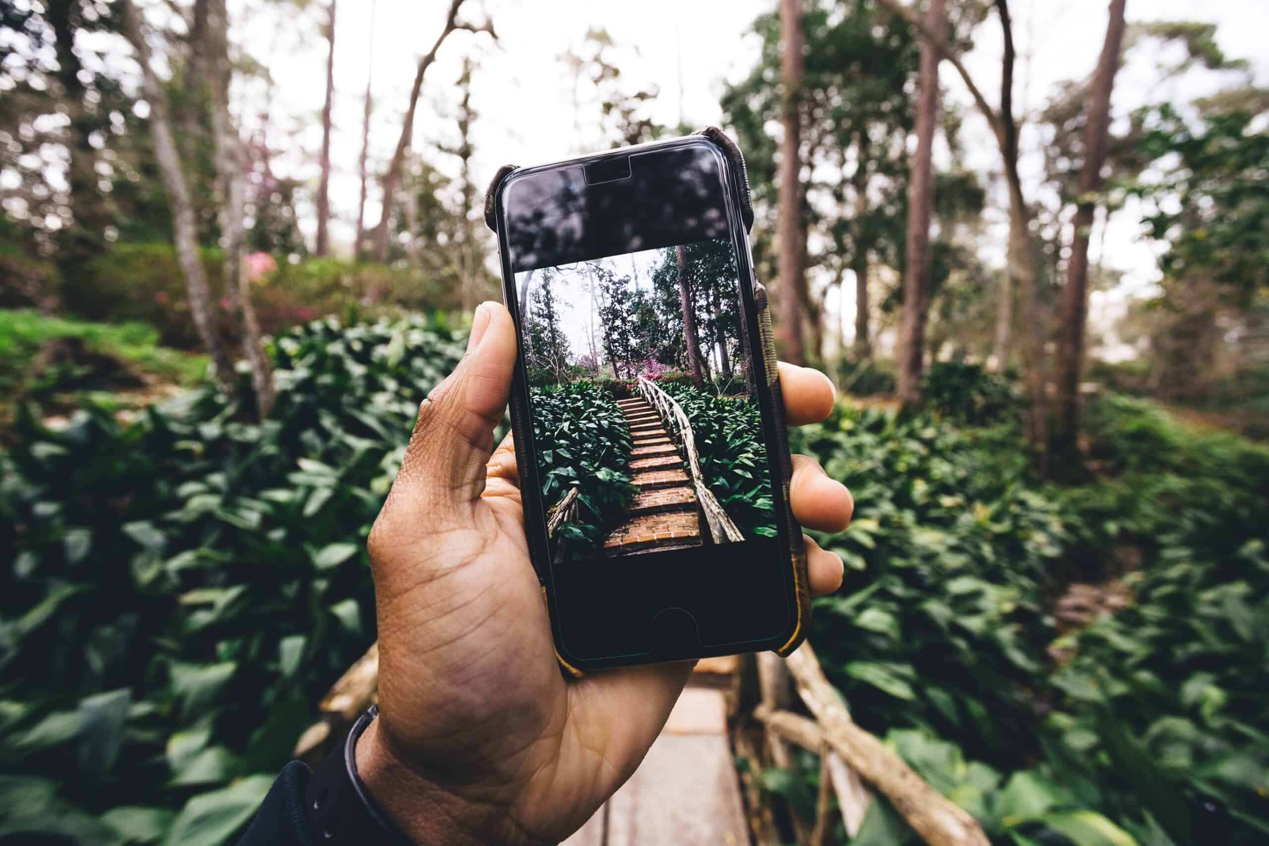 A person holding a smartphone capturing a scenic forest pathway with lush greenery in the background.
