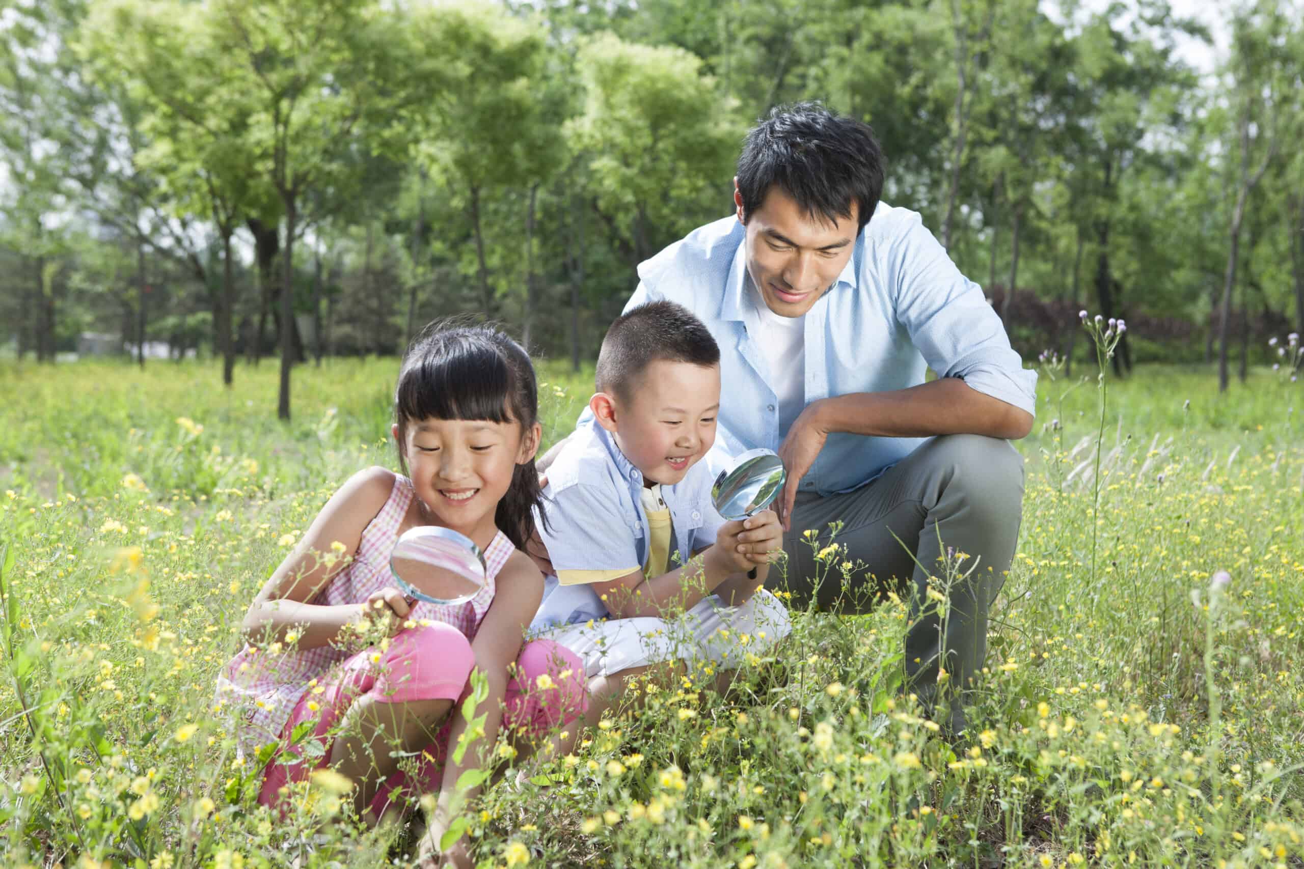 The Science of Thinking: How Logical Thinking Shapes Child Development 