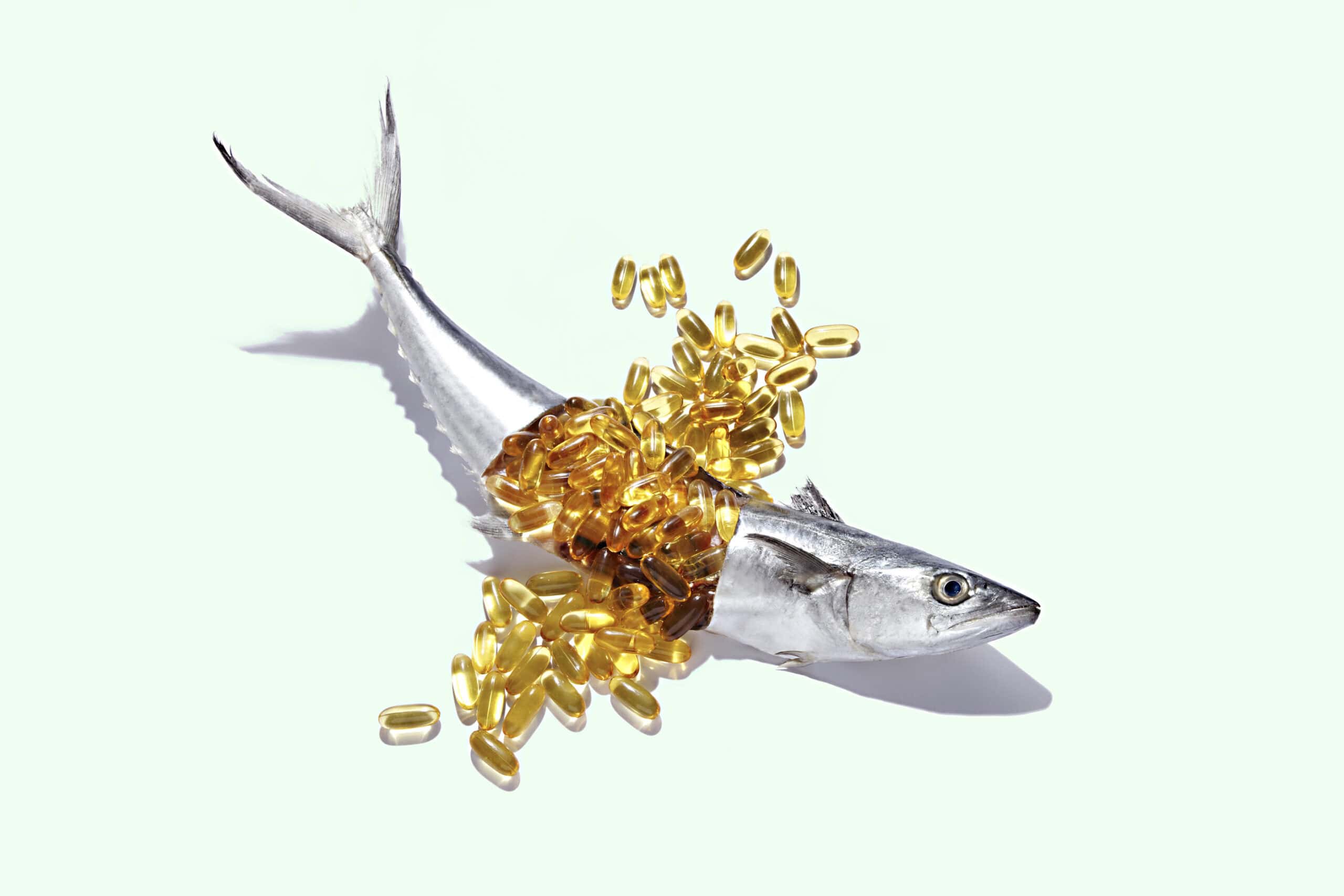 A fresh fish is cut open to reveal its main asset: Omega Fatty Acids.