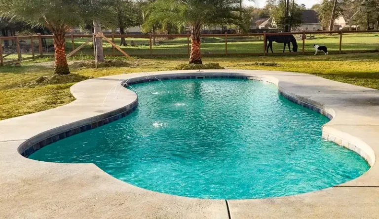 Freeform inground pool design surrounded by greenery.