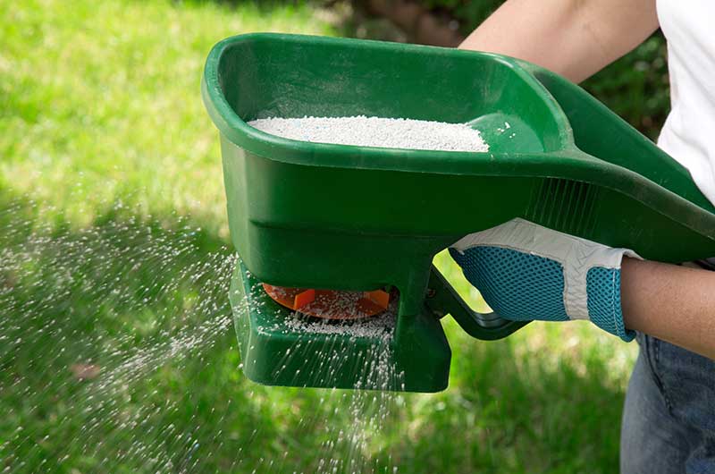 lawn care services