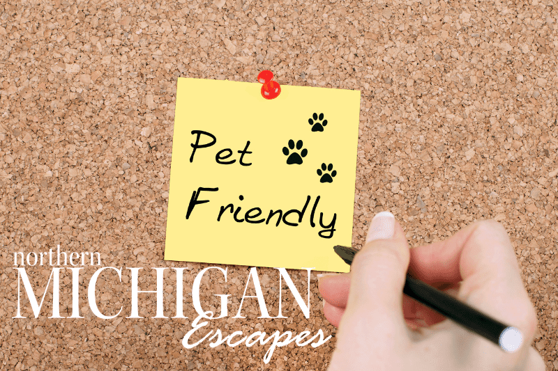 pet-friendly-vacation-rentals
