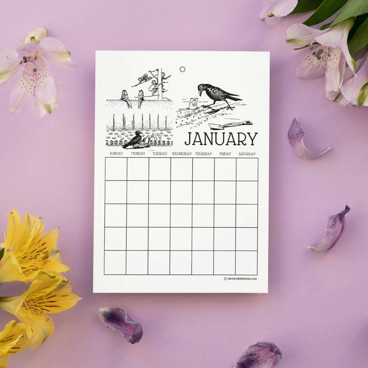 Johnny Crow's Garden calendar coloring page January, purple background with flowers.