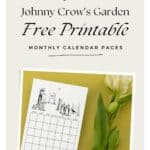 Vintage illustrated Johnny crow's garden free printable.