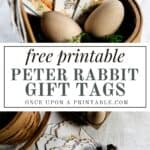 Classic Peter Rabbit party favor tags on a little basket with wooden eggs.