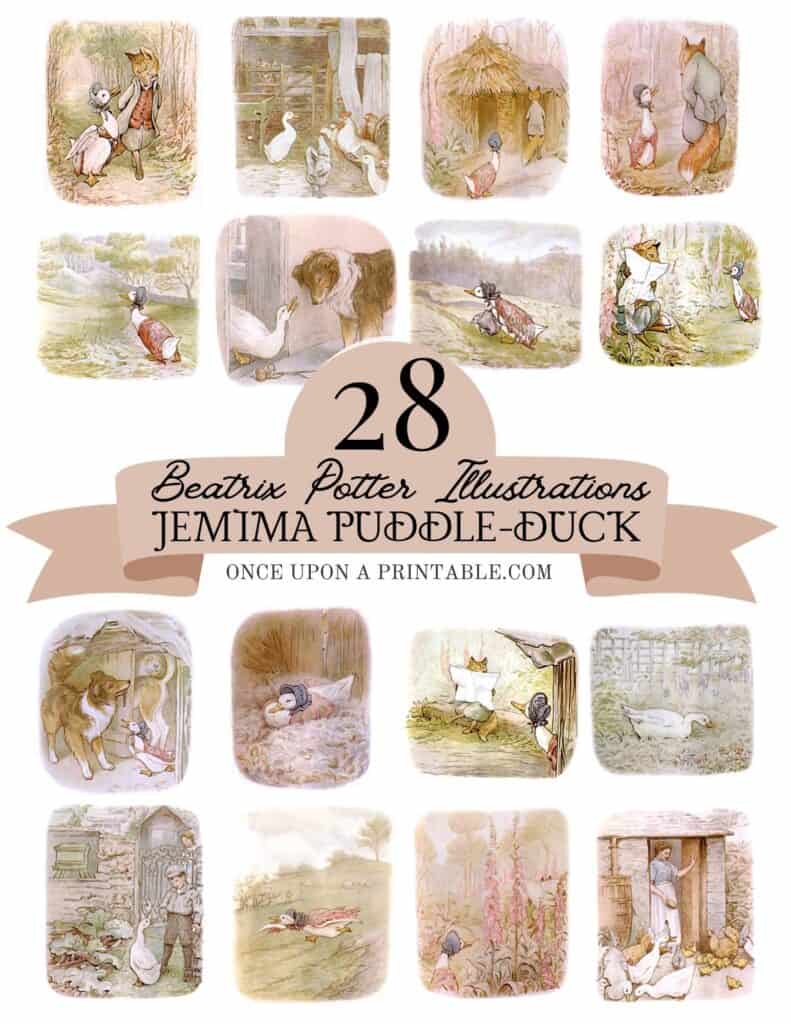 Original Jemima Puddle-duck illustrations by Beatrix Potter.