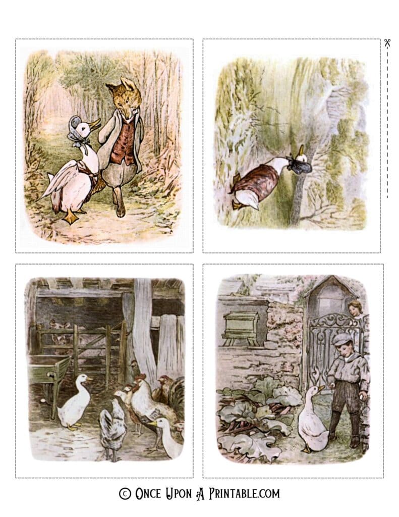 Original Jemima Puddle-duck illustrations by Beatrix Potter.