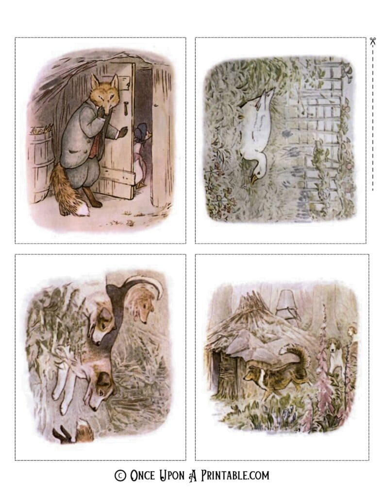 Original Jemima Puddle-duck illustrations by Beatrix Potter.