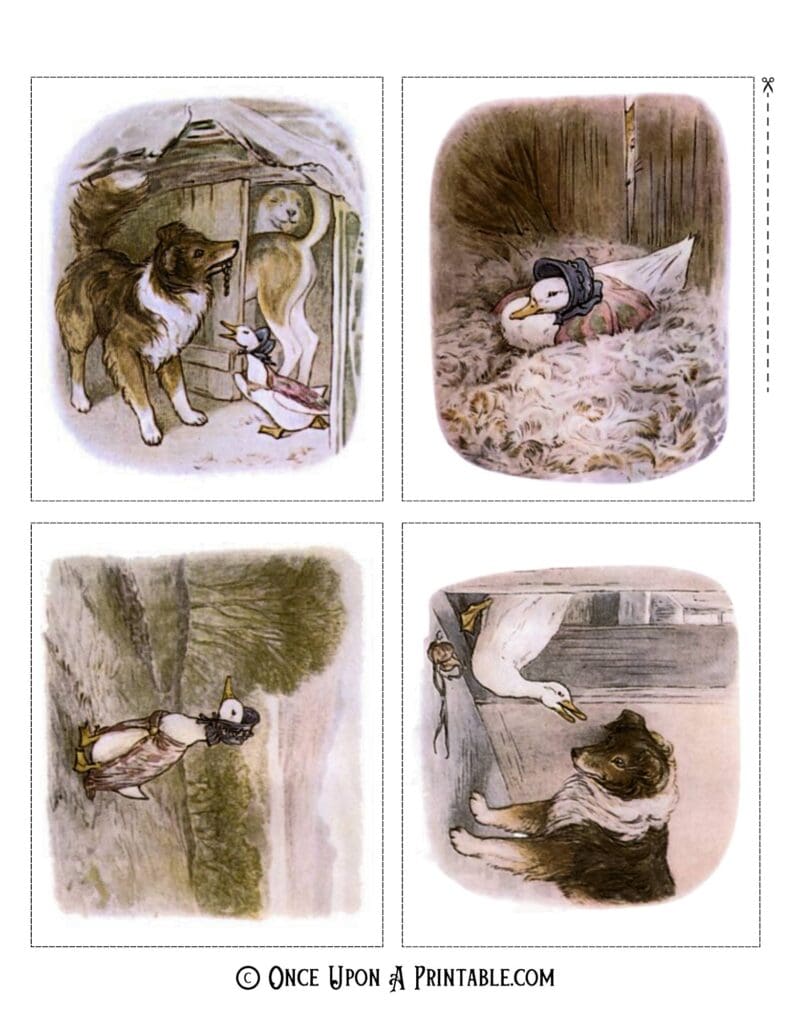 Original Jemima Puddle-duck illustrations by Beatrix Potter.