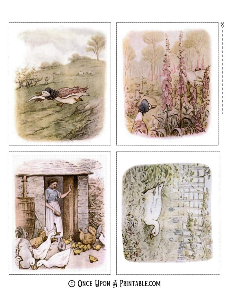 Original Jemima Puddle-duck illustrations by Beatrix Potter.