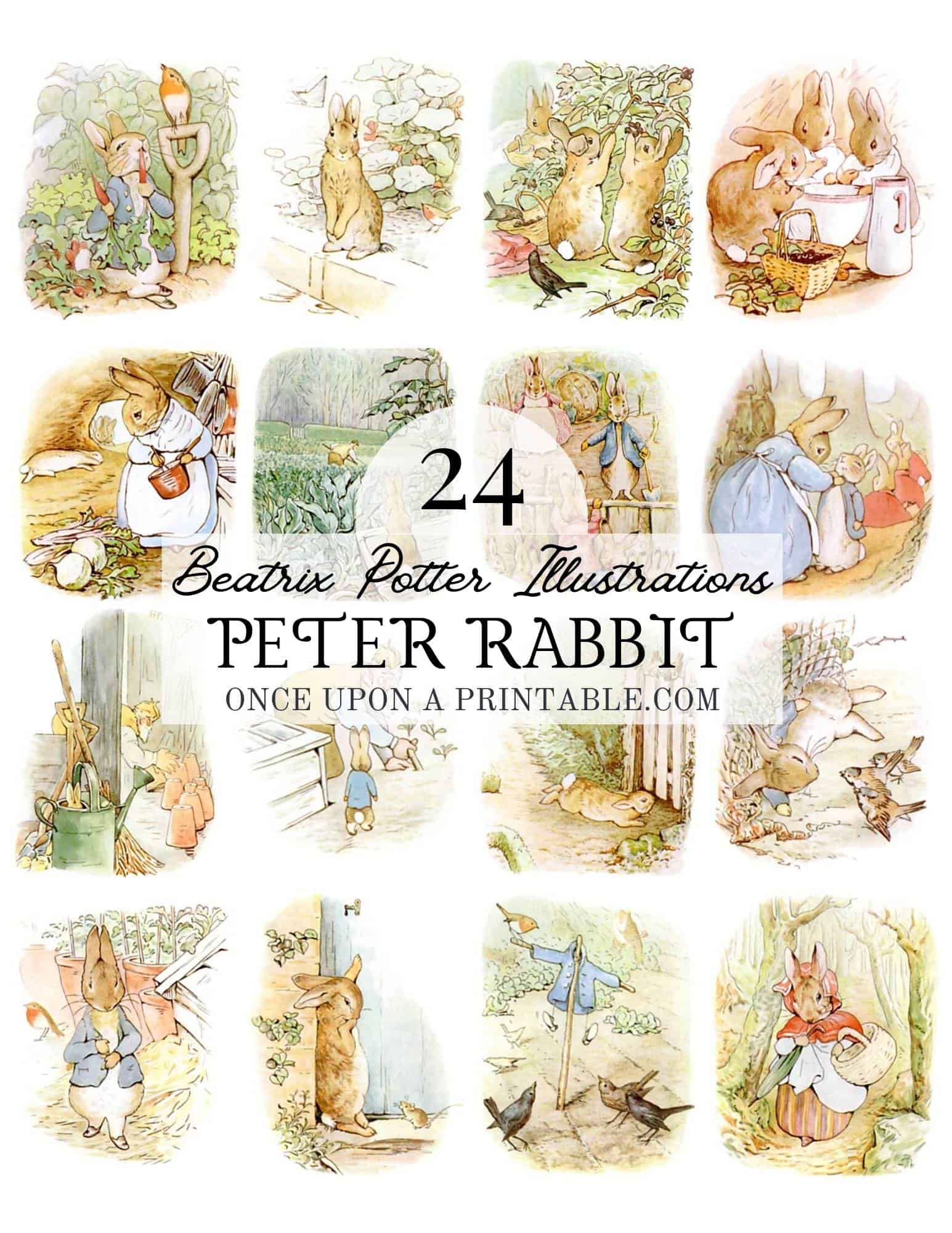 Peter Rabbit original illustrations by Beatrix Potter.