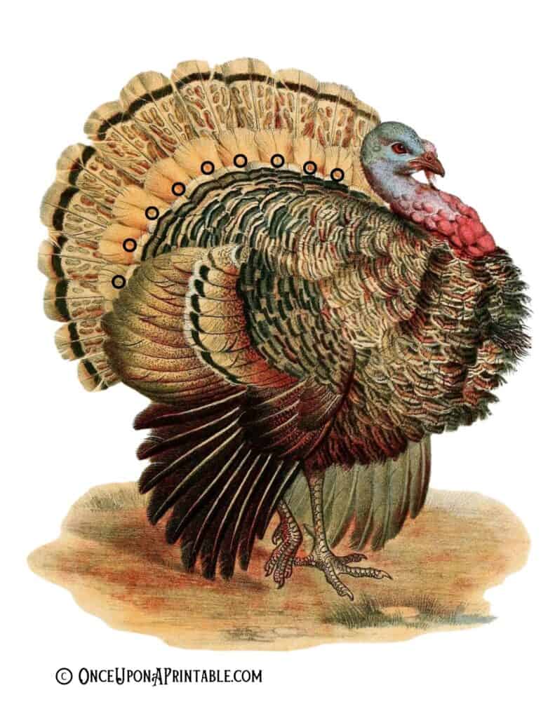 Thanksgiving Thankful turkey craft for kids kindergarten to middle school, color vintage version and coloring pages with feathers to match.