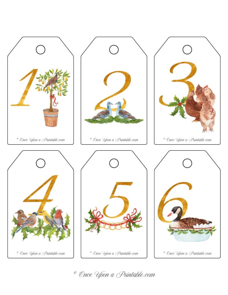 Classic watercolor graphic styled 12 days of Christmas Gift tag collection.