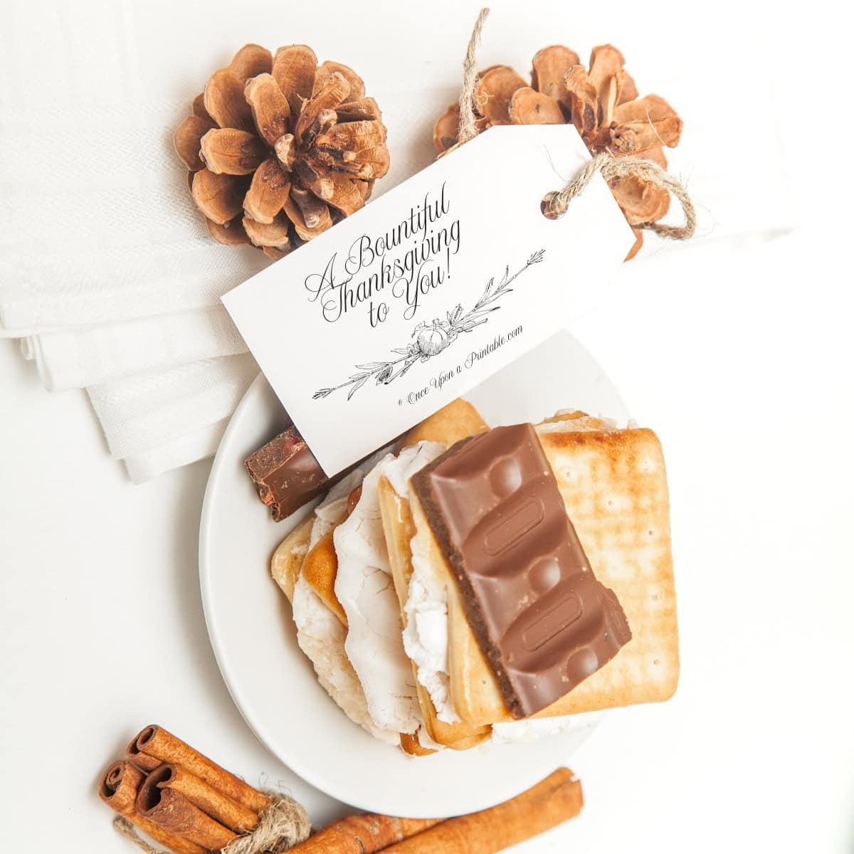 Thanksgiving tag on top of pinecones by smores and cinnamon sticks.