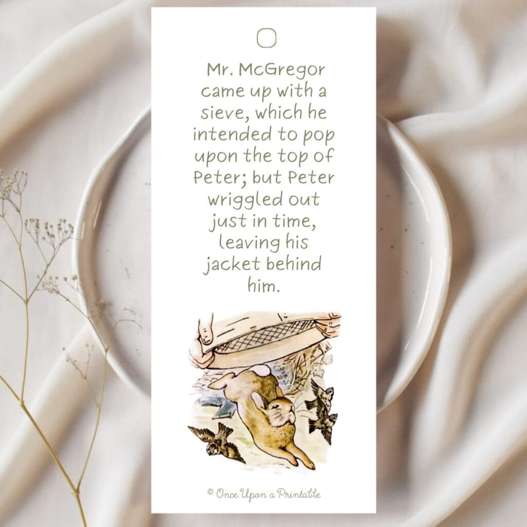 Story bookmark illustrated with peter rabbit laying on a ceramic plate with babies breath flowers.