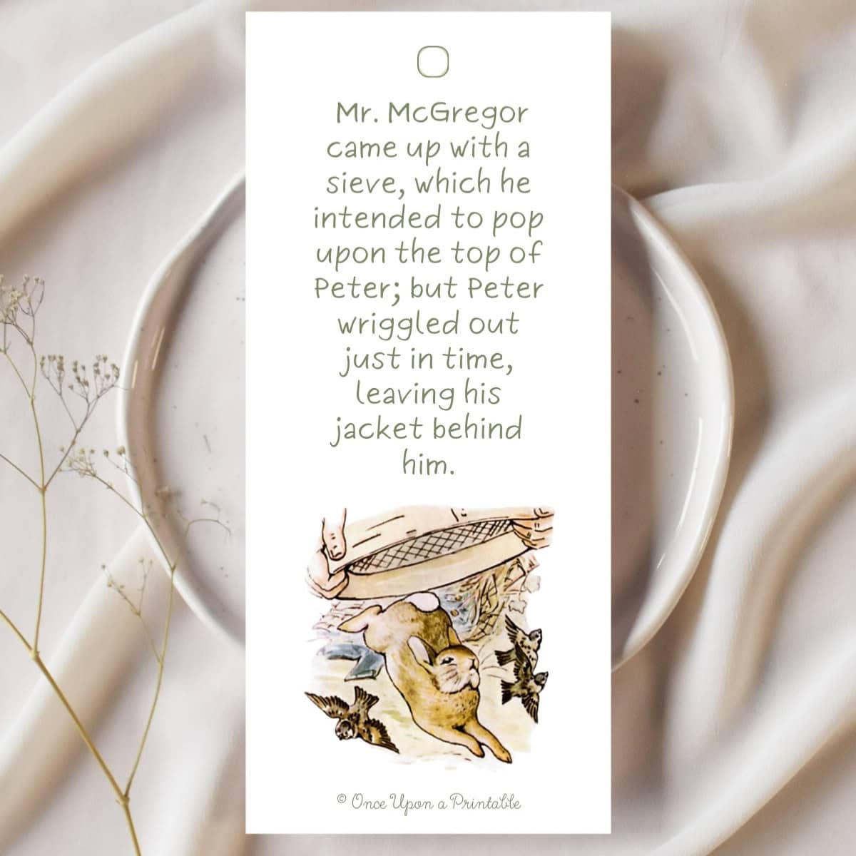 Story bookmark illustrated with peter rabbit laying on a ceramic plate with babies breath flowers.