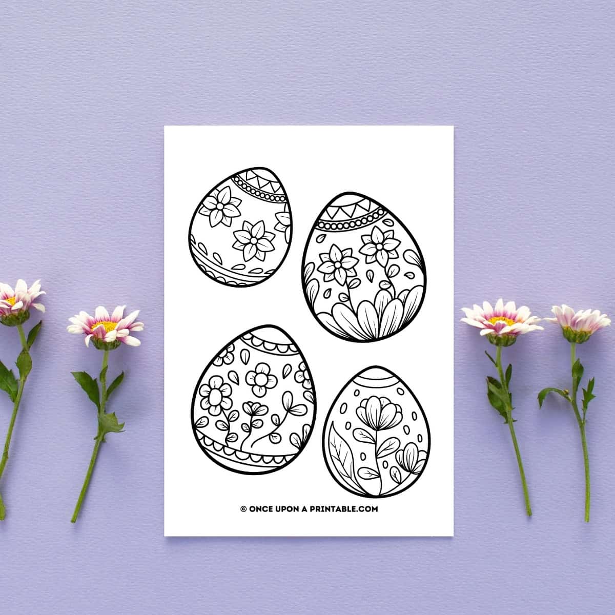 Free printable Easter coloring pages round up post, a coloring page with four beautiful easter eggs for coloring sitting by daisies.