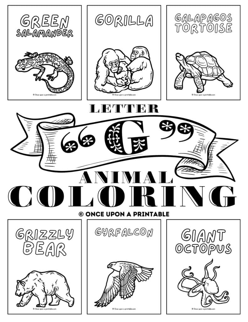 Letter G animal coloring pages cover page with grizzly bear, gyrfalcon, giant octopus, green salamander, galapagos tortoise, and gorilla.