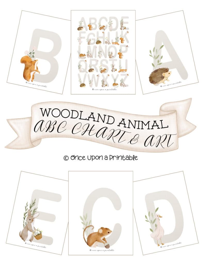 Woodland animal ABC chart and art cover page with woodland creatures and alphabet letters.
