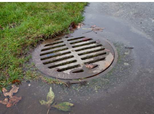 A metal storm drain grate is set into the ground beside wet grass and pavement, with fallen leaves scattered around and water pooling nearby—a reminder of the importance of regular sewer and drain repair or cleaning and maintenance.