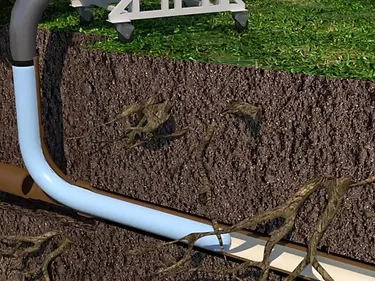 A cross-section illustration shows tree roots infiltrating a buried sewer pipe underground, with a pipe repair tool positioned above the ground on a grassy surface, highlighting professional sewer and drain repair services.