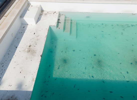 Pool area maintenance focusing on drain and plumbing systems