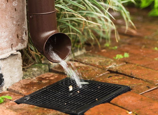 Gutter cleaning service removing debris buildup during fall season