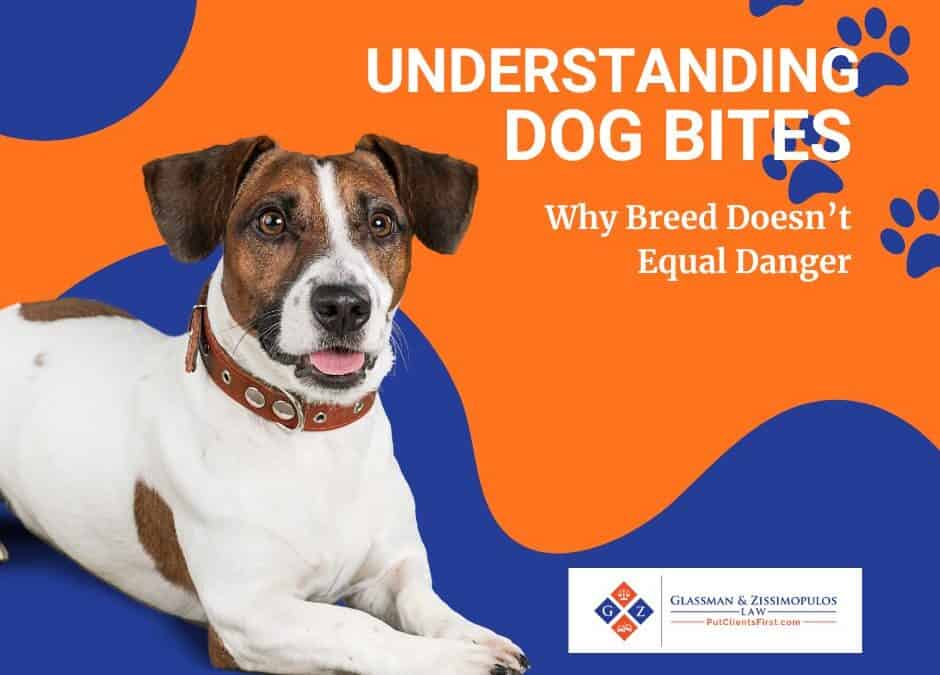 Understanding Dog Bites: Why Breed Doesn’t Equal Danger