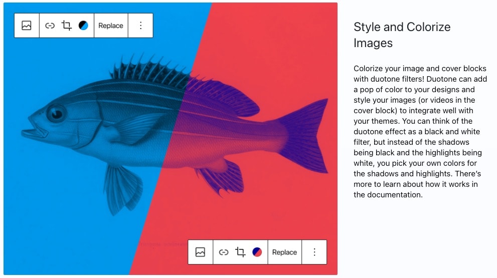 WordPress 5.8 RAABAUKE Web Design