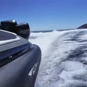 Ribco Venom 39 Twin 450 Mercury Racing @ RIBs ONLY - Home of the Rigid Inflatable Boat