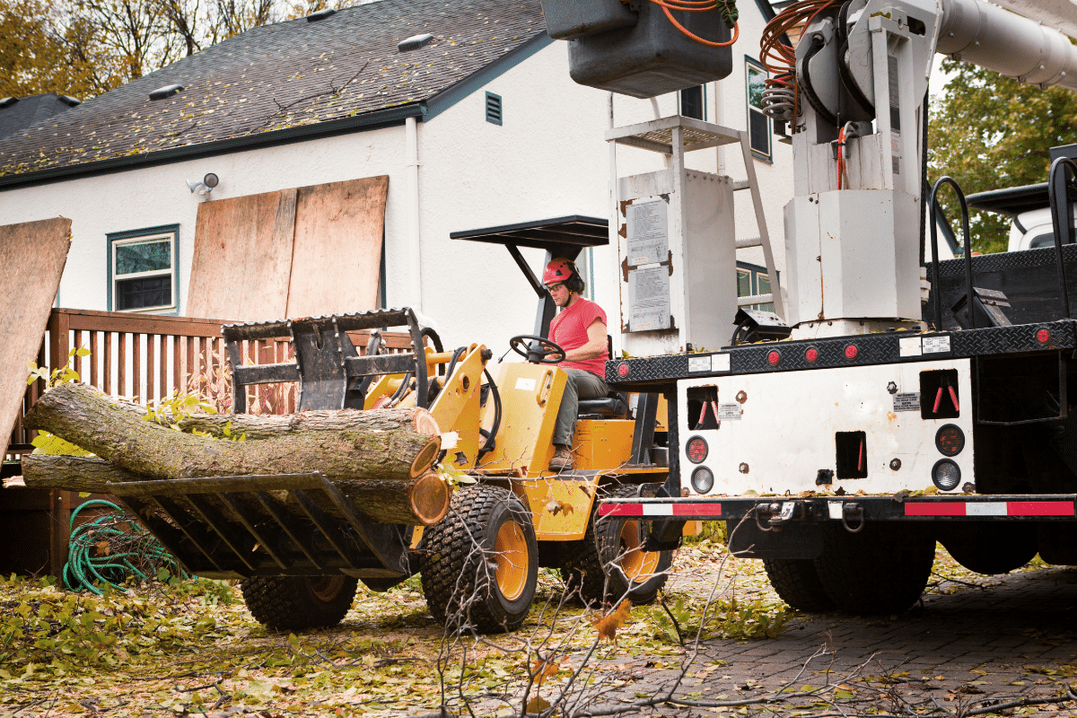 At Roubic Tree Service LLC, we specialize in efficient and safe tree removal services for residential areas. Imagine a serene neighborhood scene: our skilled technician deftly maneuvers a vibrant yellow forklift, expertly lifting a substantial tree log next to one of our reliable utility trucks. The setting includes a charming home with boarded windows and an inviting deck, all framed by the natural beauty of fallen leaves and branches carpeting the ground. Trust Roubic Tree Service LLC for professional solutions that enhance your propertys safety and aesthetics, while preserving the environments delicate balance.