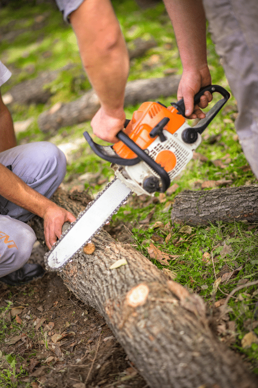 At Roubic Tree Service LLC, our experienced team works safely and efficiently to remove fallen tree trunks from your property. Our skilled professionals use reliable, high-powered chainsaws to carefully cut and clear large logs. With one technician expertly operating an industry-grade orange and white chainsaw while another team member securely steadies the wood, we ensure precise cuts and maintain a safe work environment on your lawn or outdoor space. Trust Roubic Tree Service LLC for prompt, thorough fallen tree cleanup—visit https://roubictreeservice.com/ to schedule professional tree removal services today!.