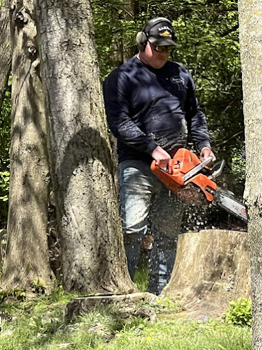 Technician wearing safety gear during stump removal.​