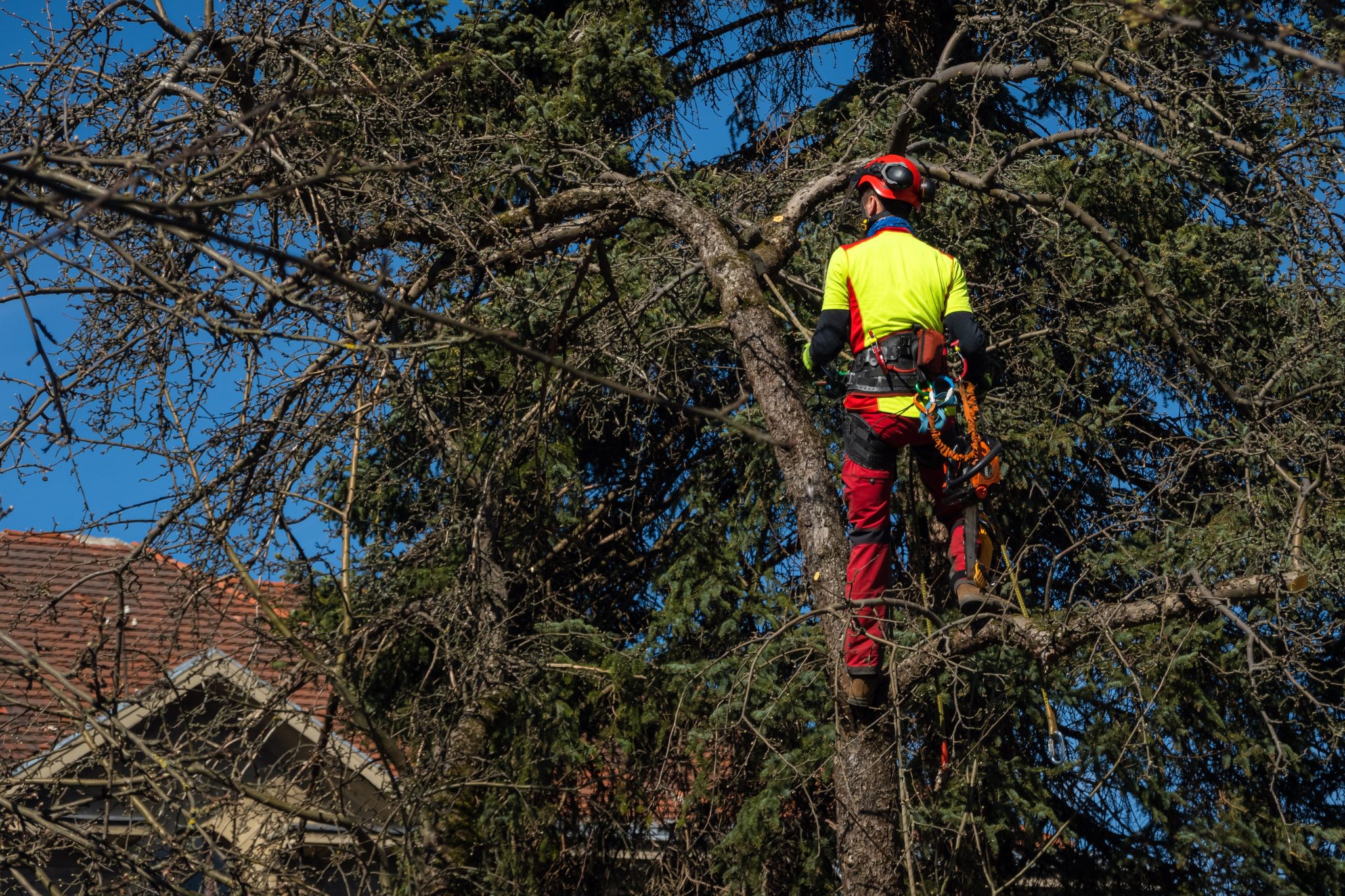 Roubic Tree & Landscape LLC
