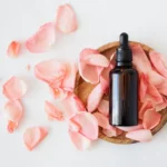 Best Body Lotions to Keep Your Skin Hydrated